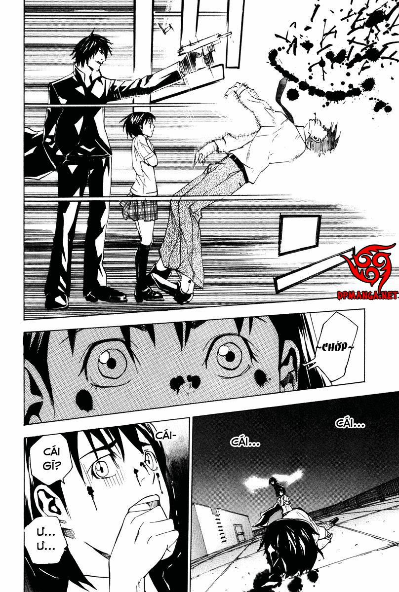 Dendrobates 28 trang 17