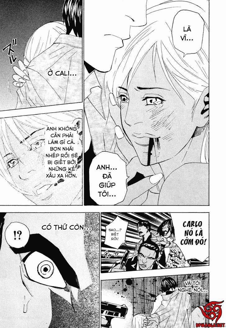 Dendrobates 29 trang 17