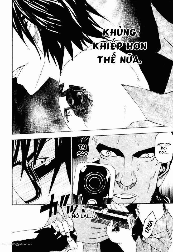 Dendrobates 29 trang 18