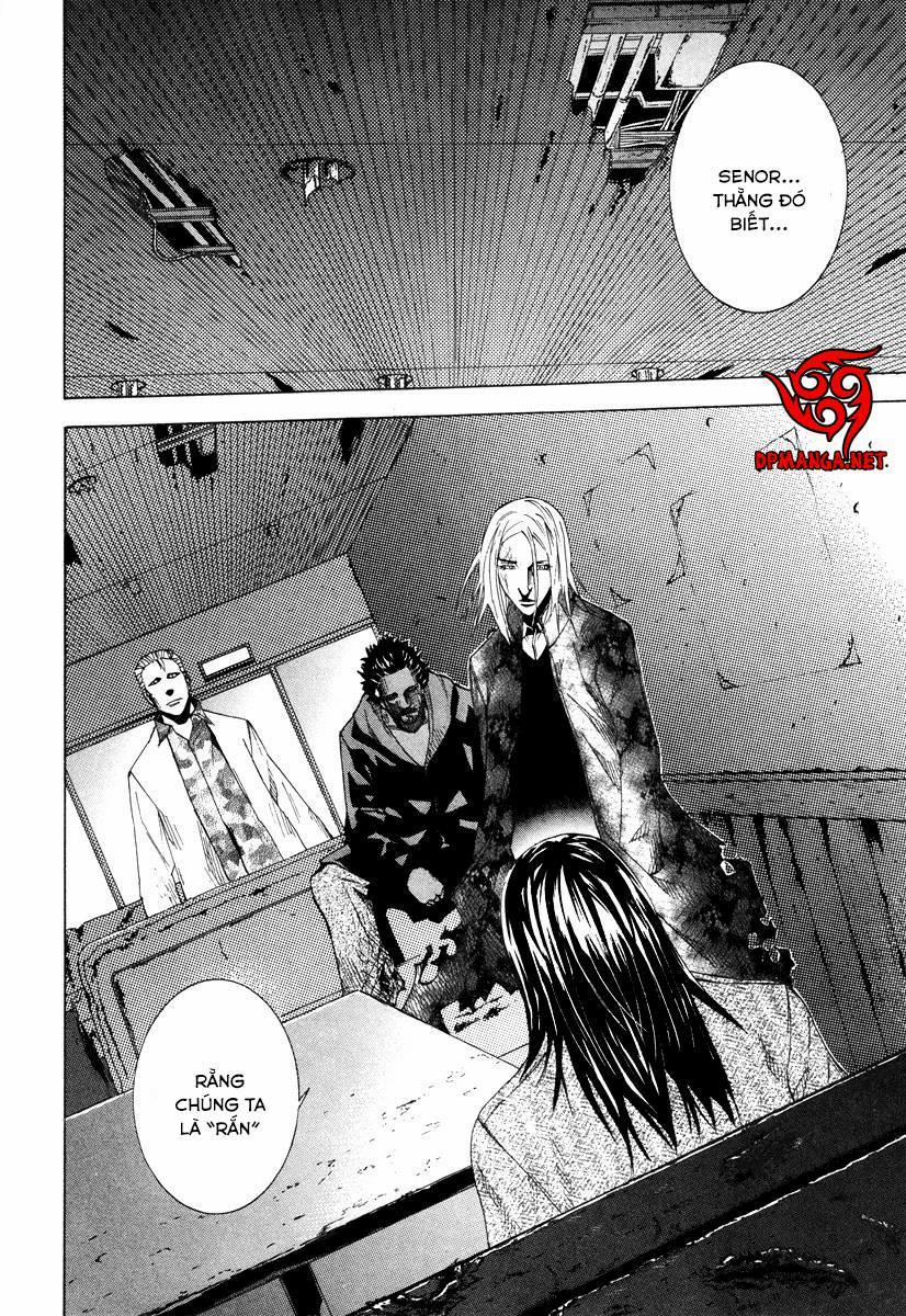 Dendrobates 33 trang 19