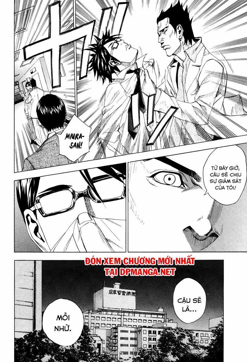 Dendrobates 33 trang 21