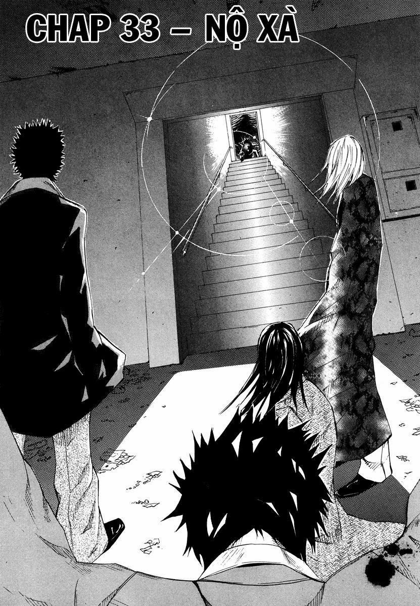 Dendrobates 33 trang 4