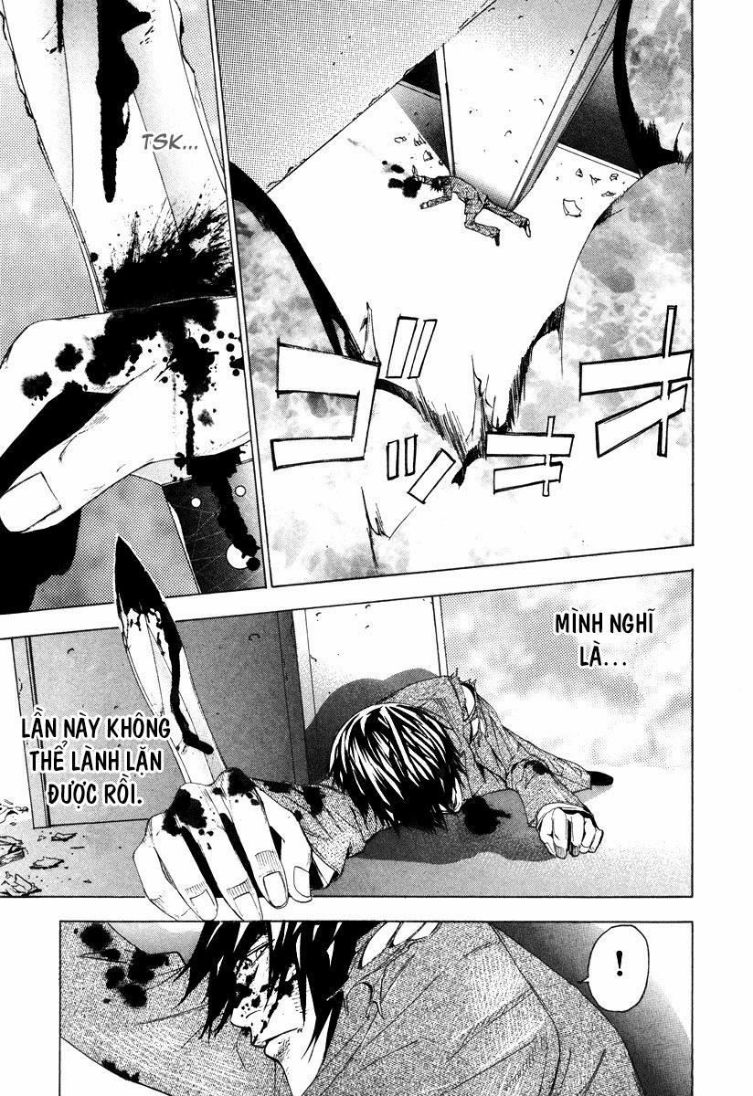 Dendrobates 35 trang 12