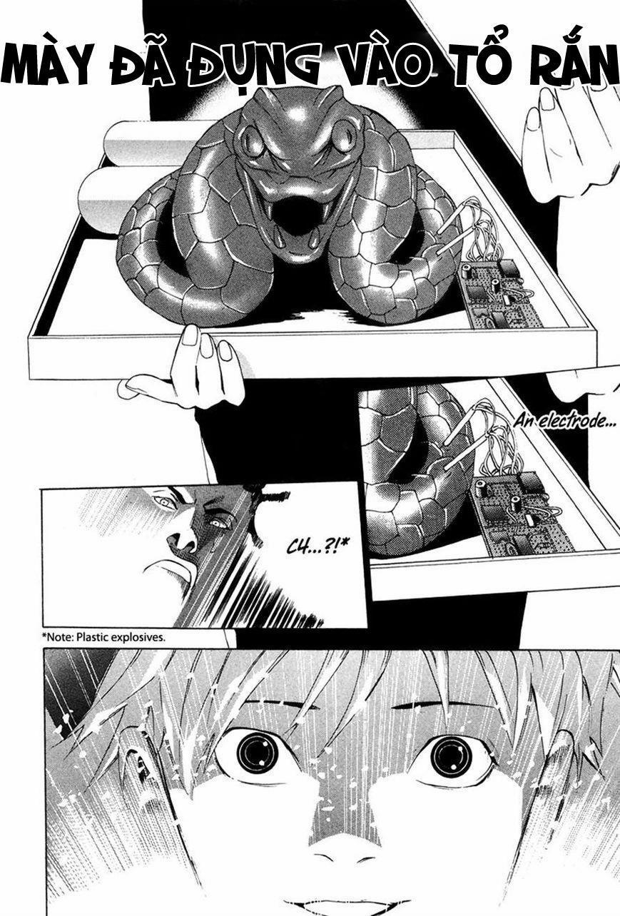 Dendrobates 36 trang 15