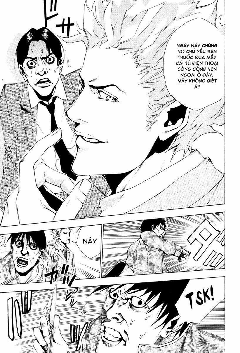 Dendrobates 39 trang 8