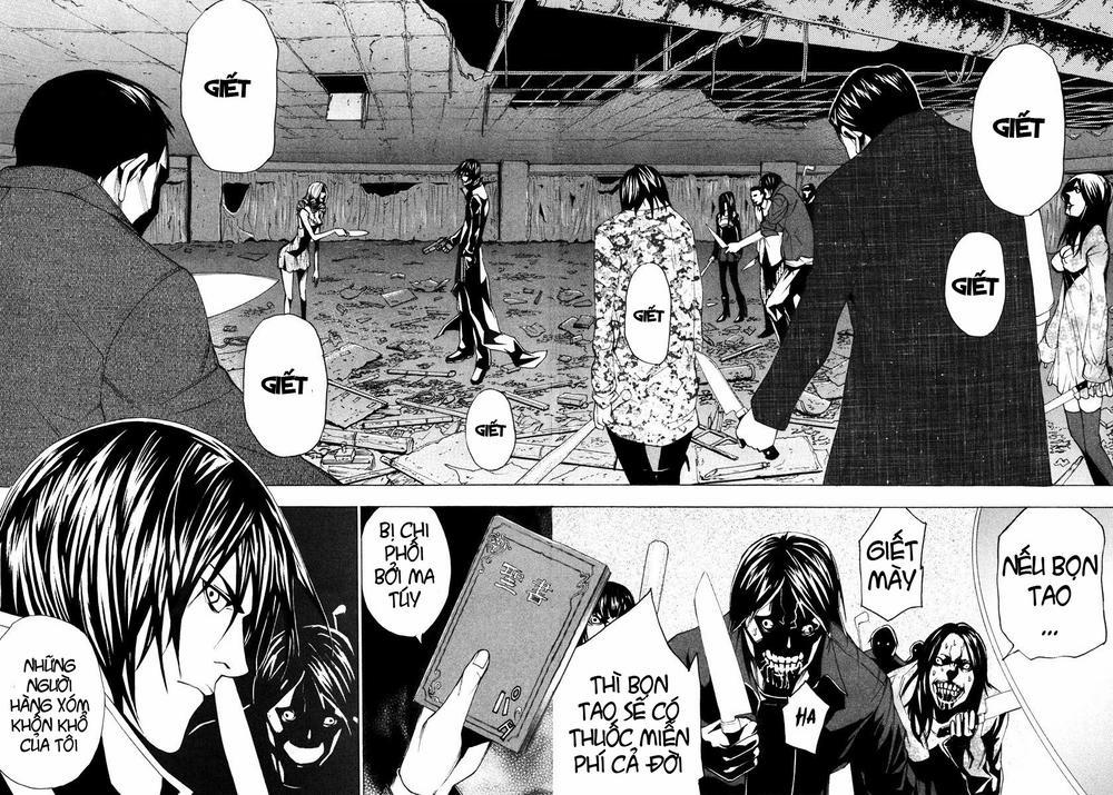 Dendrobates 43 trang 16