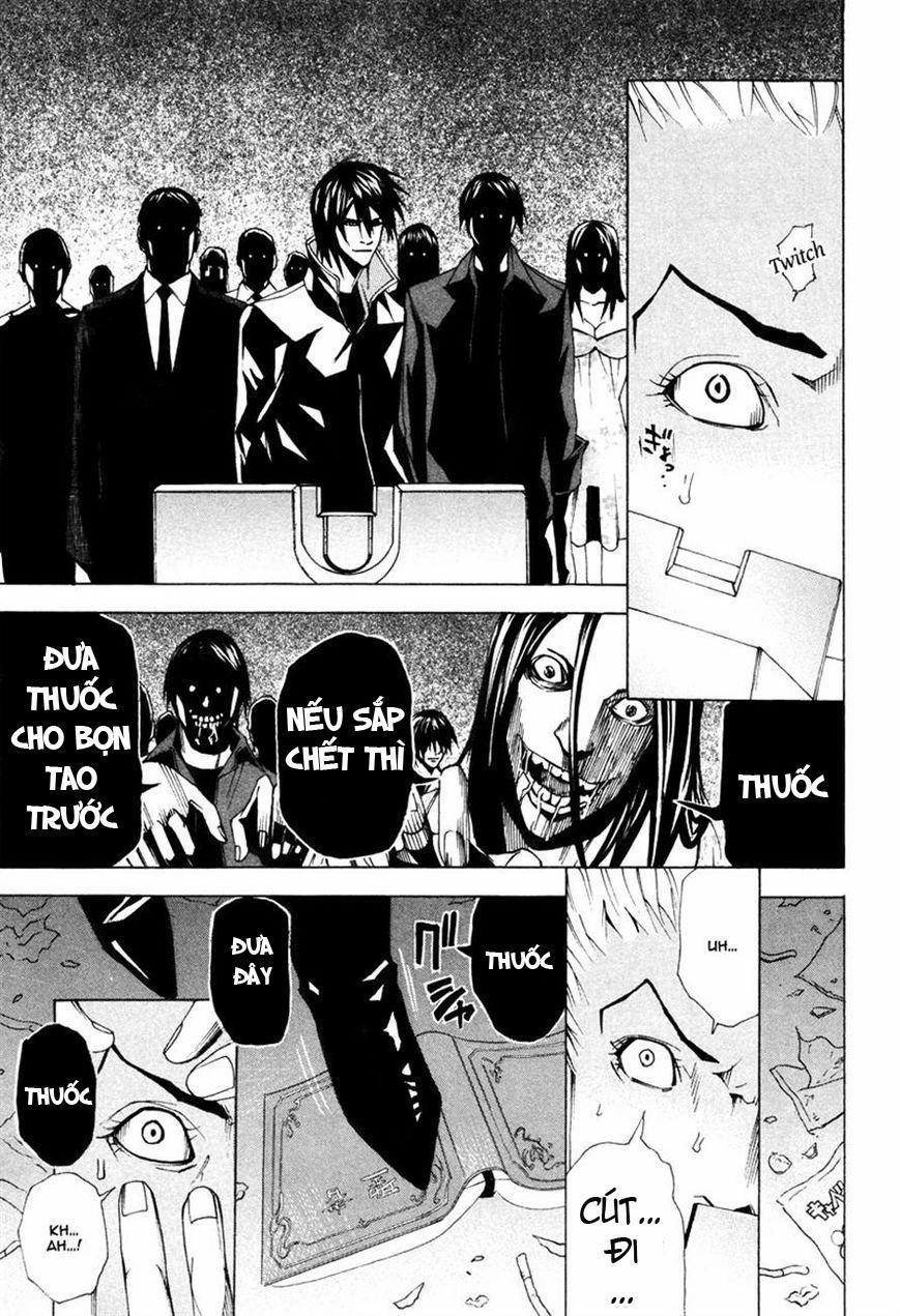 Dendrobates 44 trang 17