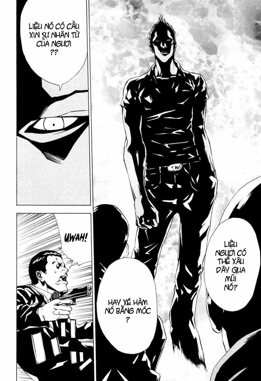 Dendrobates 46 trang 17