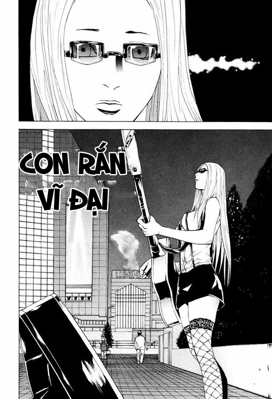 Dendrobates 46 trang 19