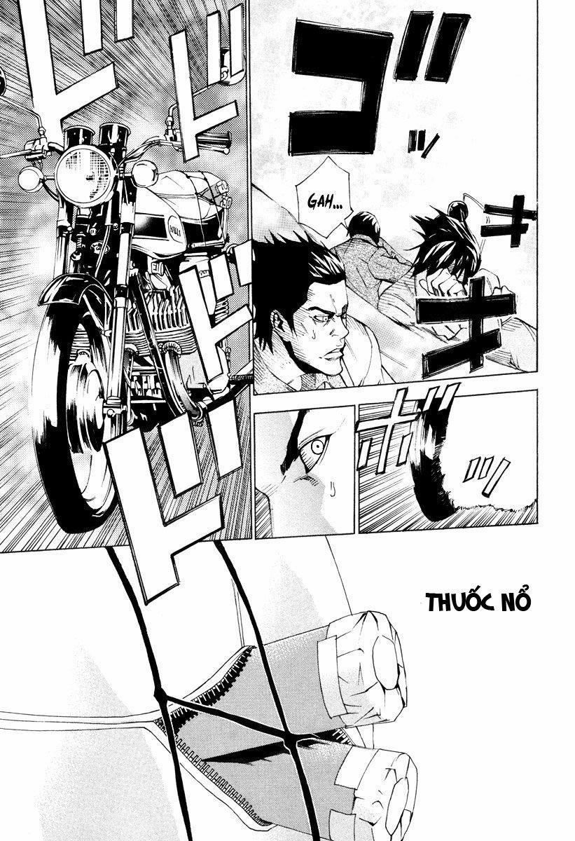 Dendrobates 48 trang 12