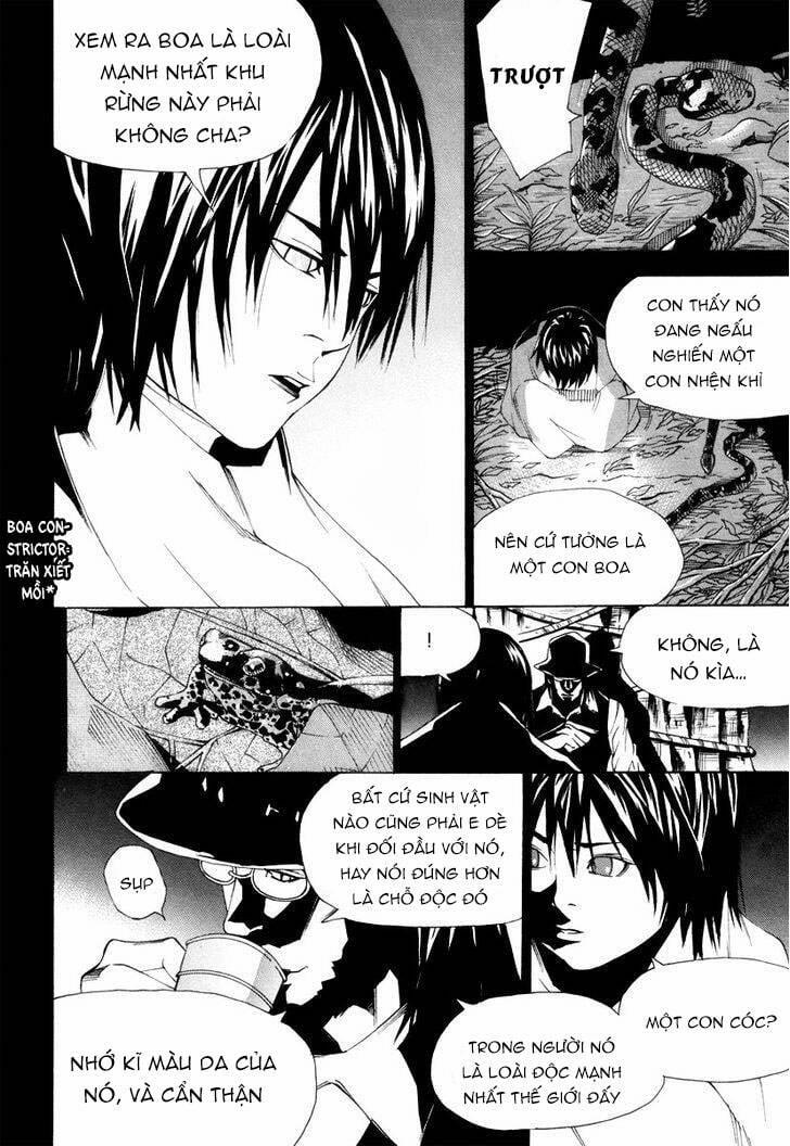 Dendrobates 56 trang 2