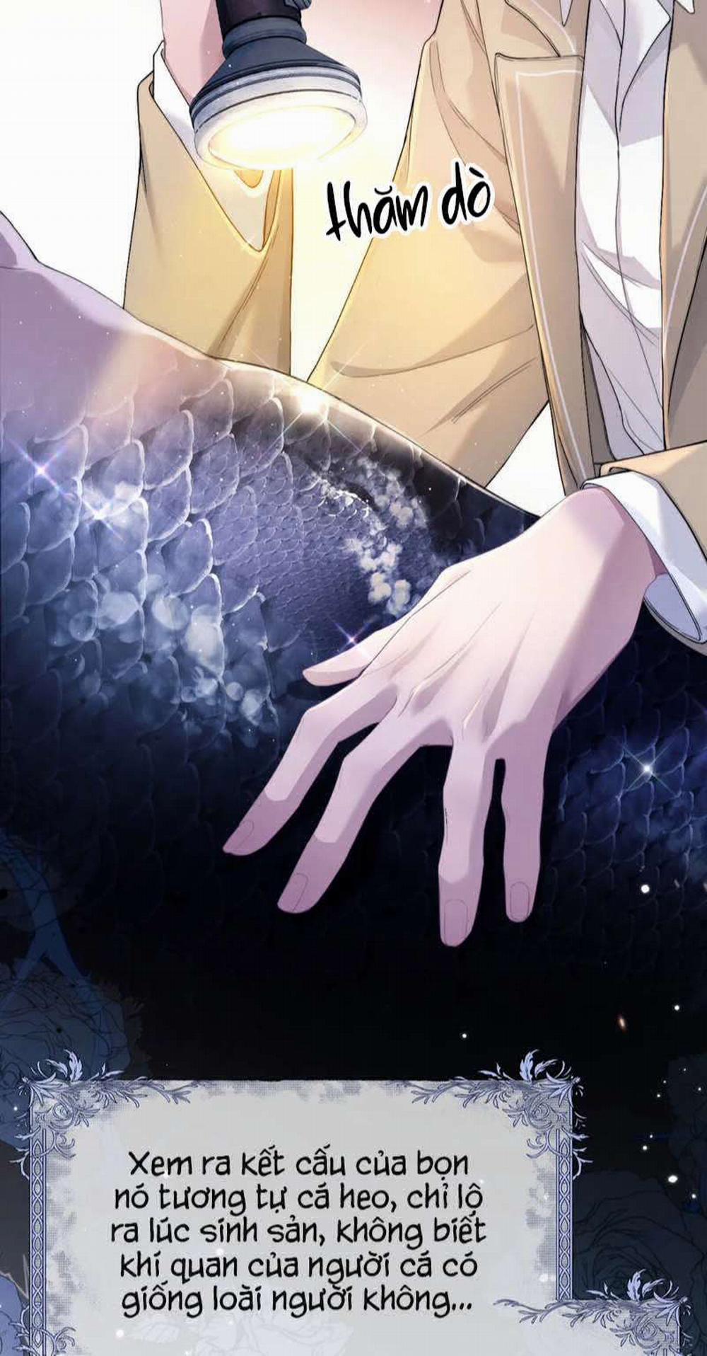 Desharow Nhân Ngư 1 trang 35