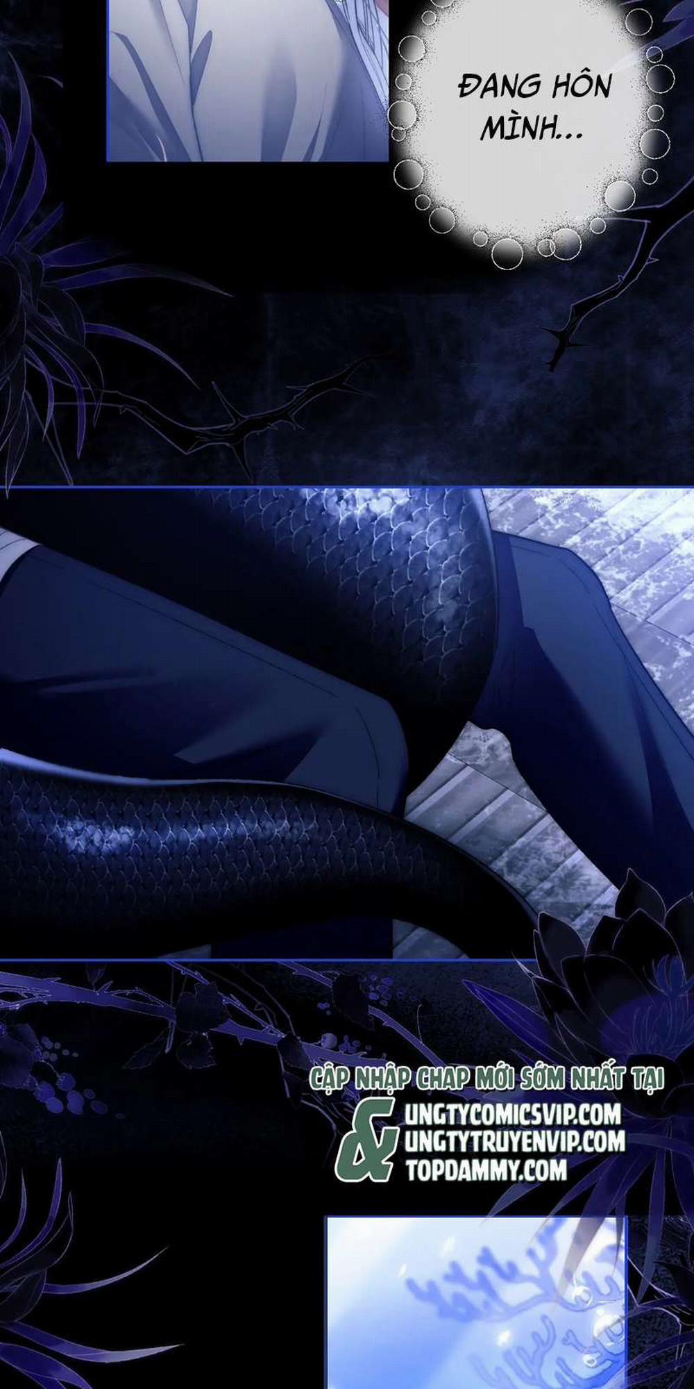 Desharow Nhân Ngư 10 trang 25