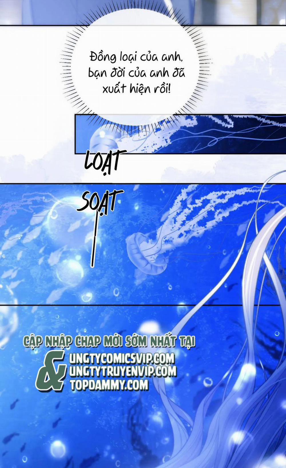 Desharow Nhân Ngư 12 trang 15