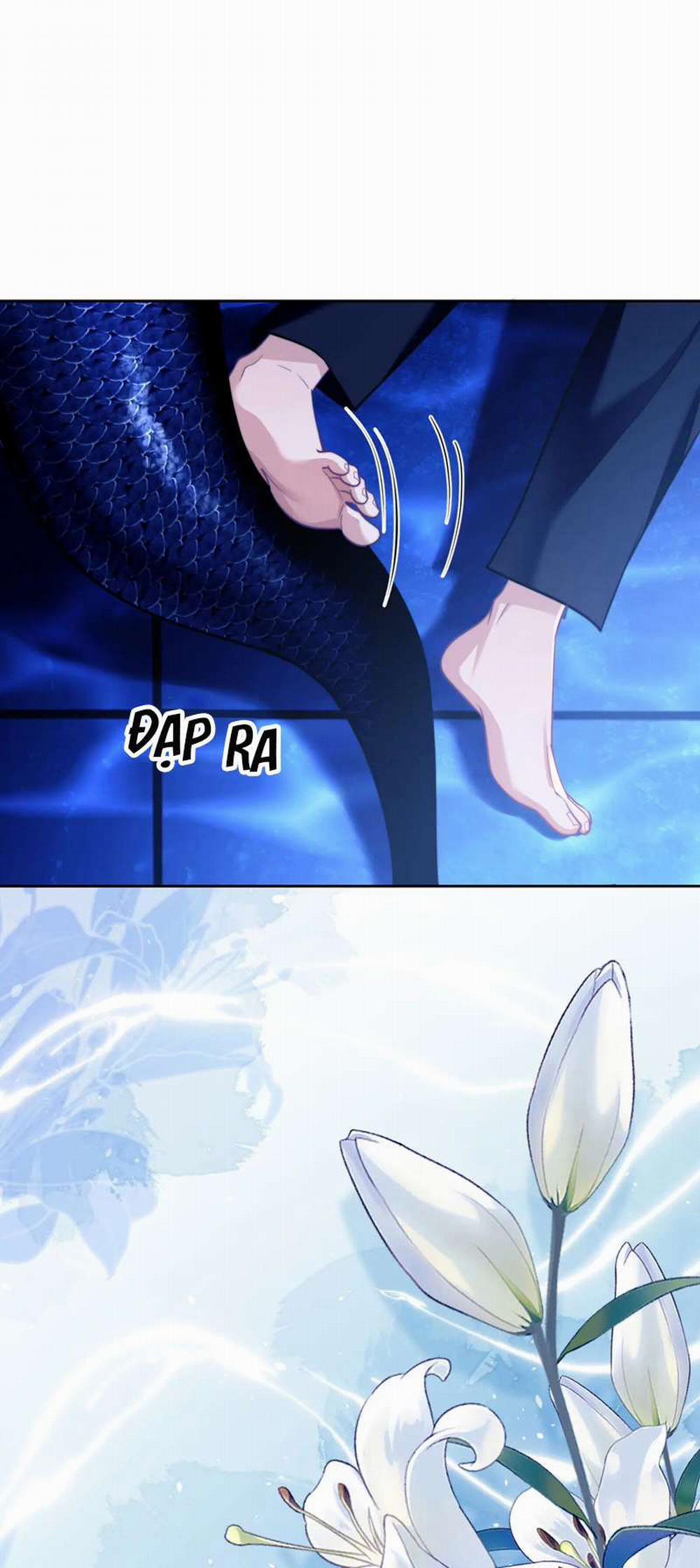 Desharow Nhân Ngư 17 trang 27