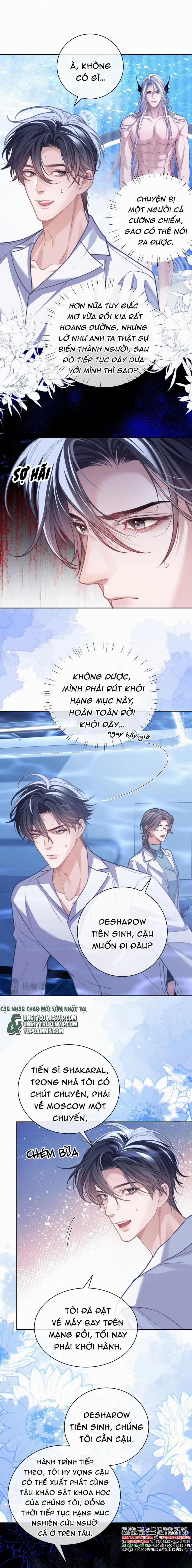 Desharow Nhân Ngư 19 trang 5