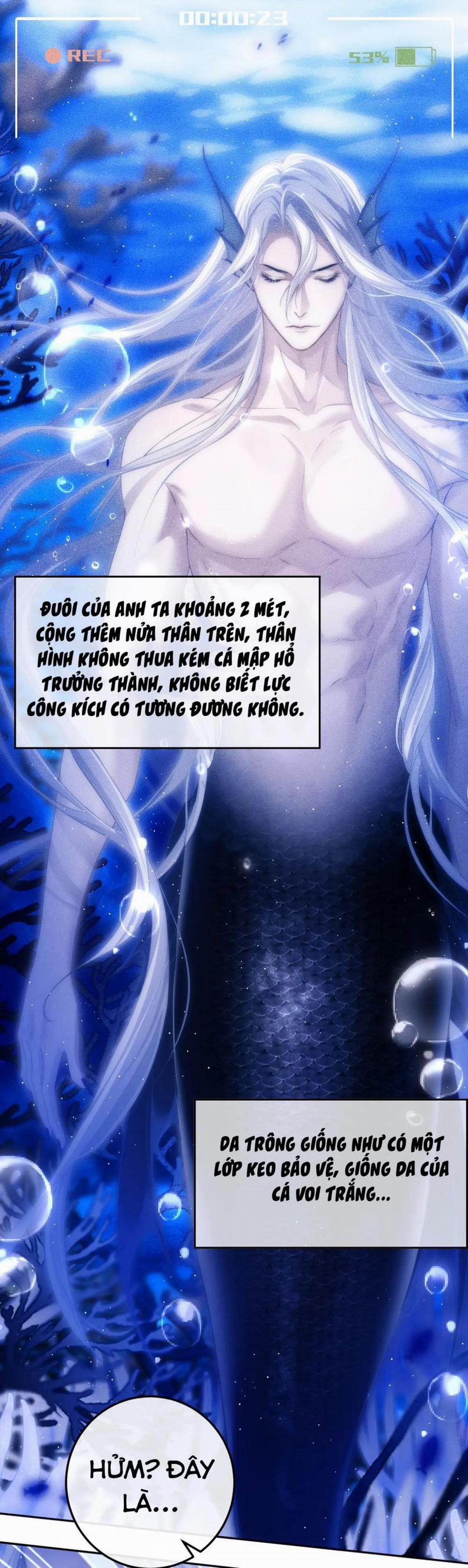 Desharow Nhân Ngư 2 trang 39