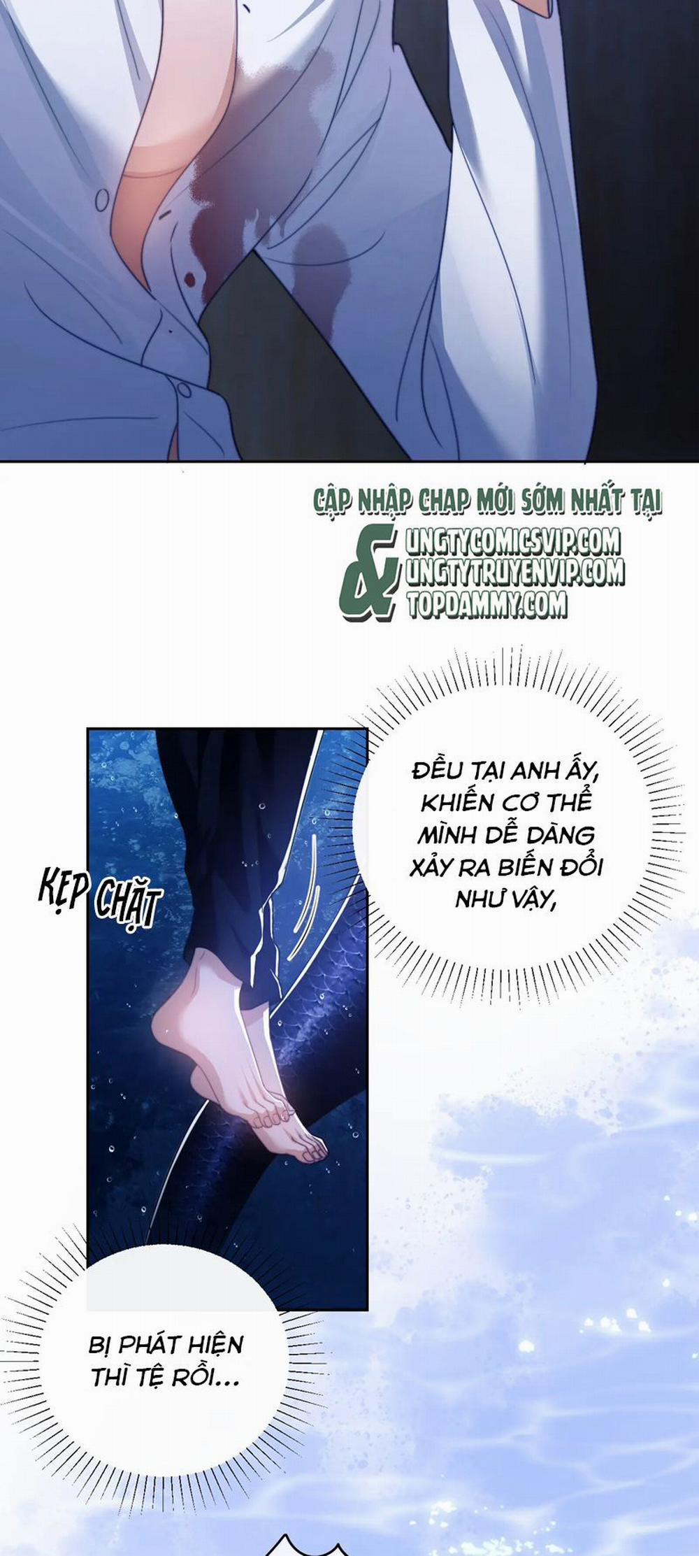 Desharow Nhân Ngư 26 trang 19