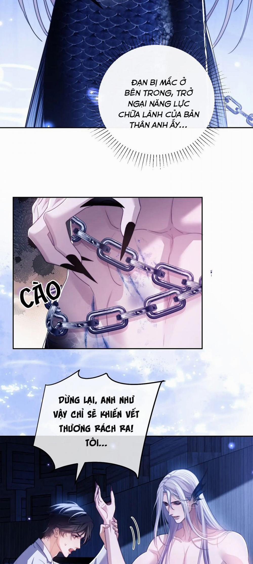 Desharow Nhân Ngư 26 trang 23