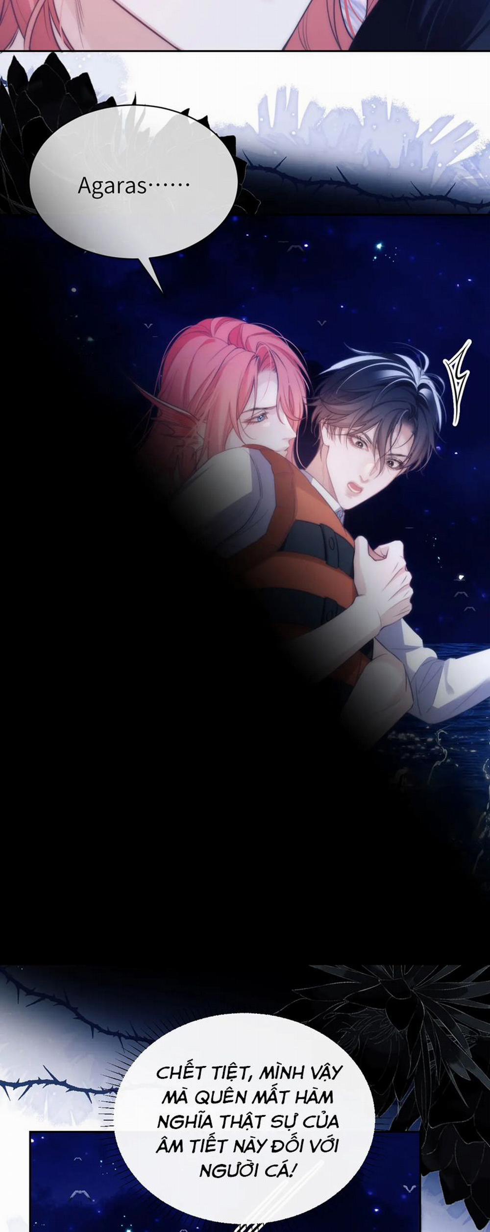 Desharow Nhân Ngư 41 trang 23