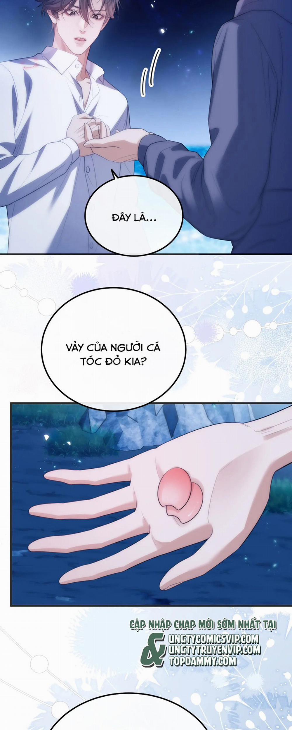 Desharow Nhân Ngư 48 trang 6