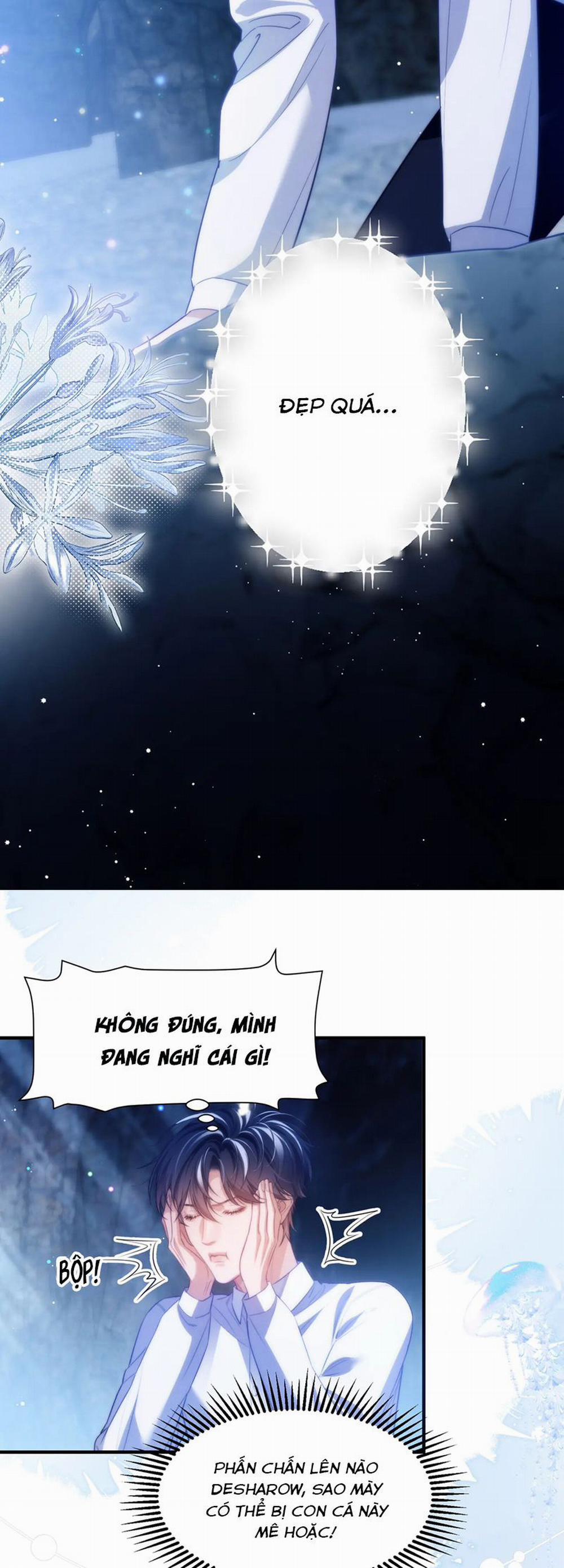 Desharow Nhân Ngư 56 trang 13