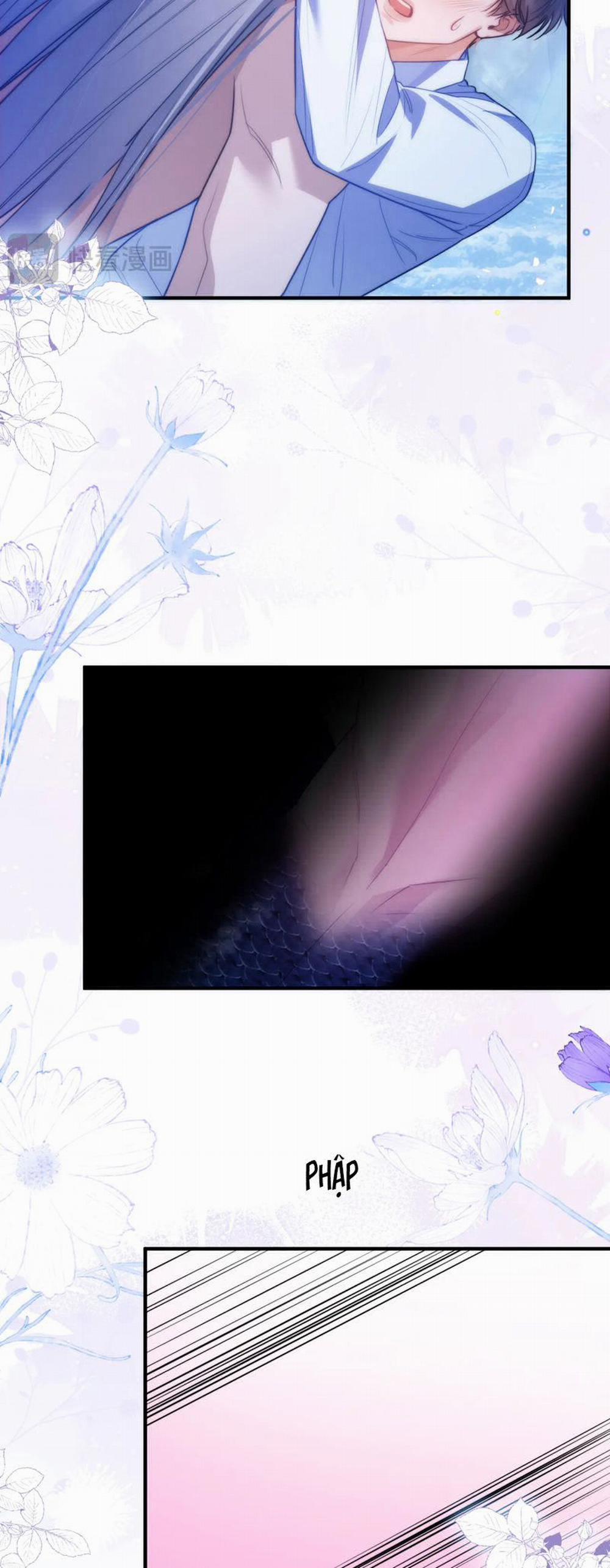 Desharow Nhân Ngư 65 trang 14