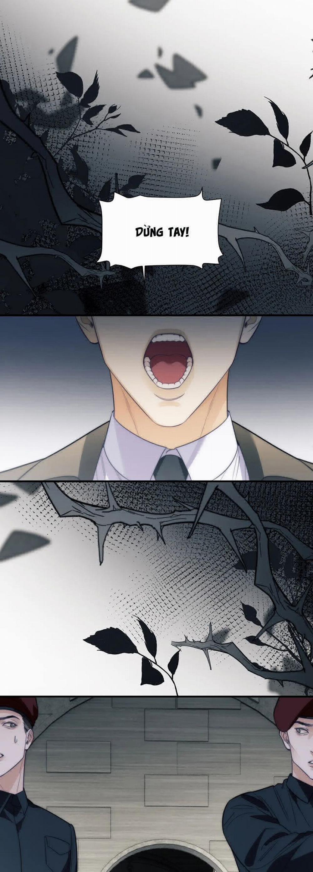 Desharow Nhân Ngư 67 trang 18