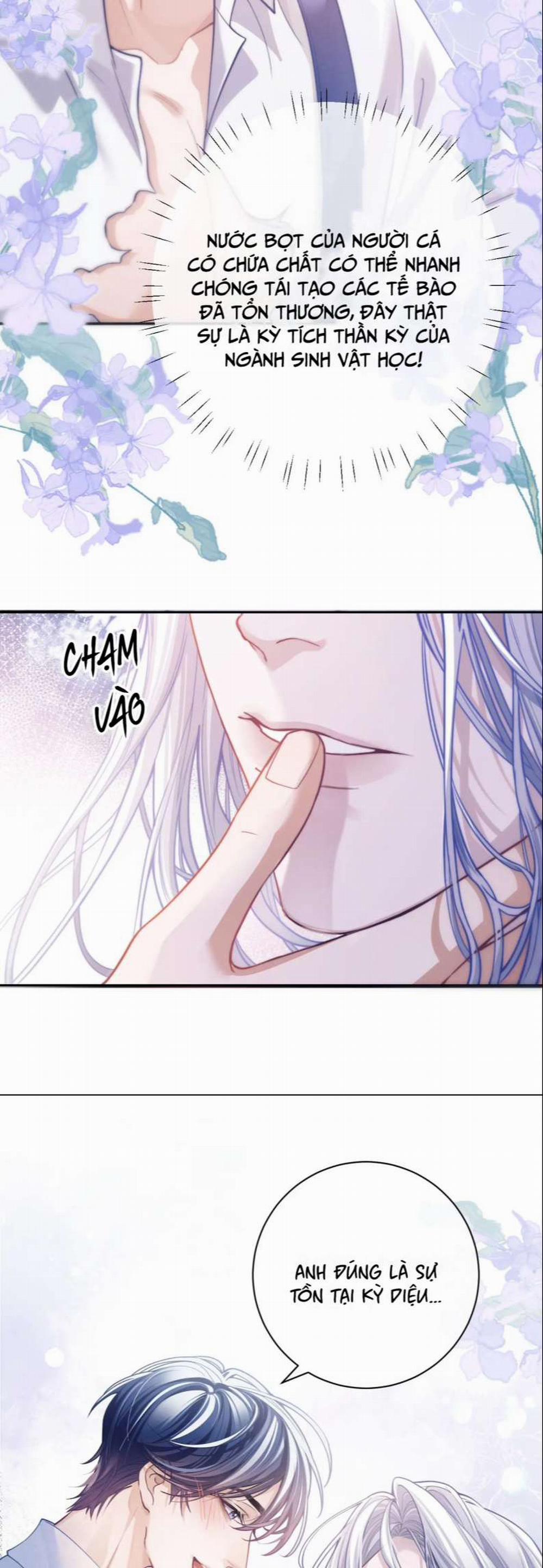 Desharow Nhân Ngư 7 trang 10