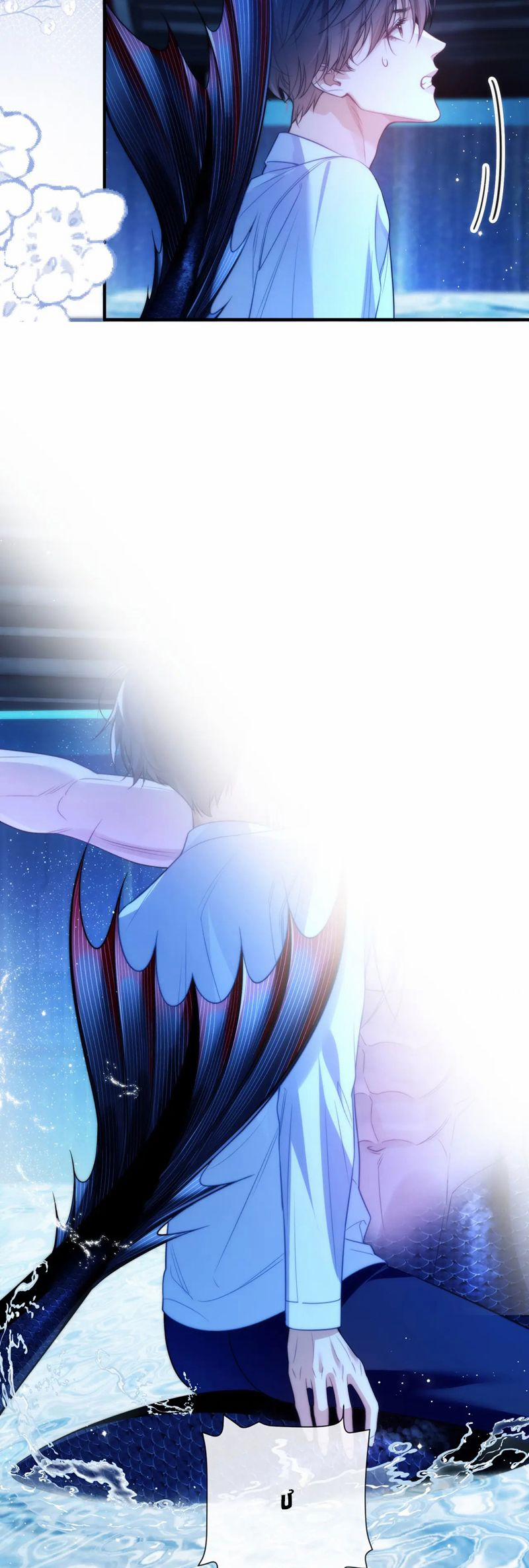 Desharow Nhân Ngư 74 trang 13