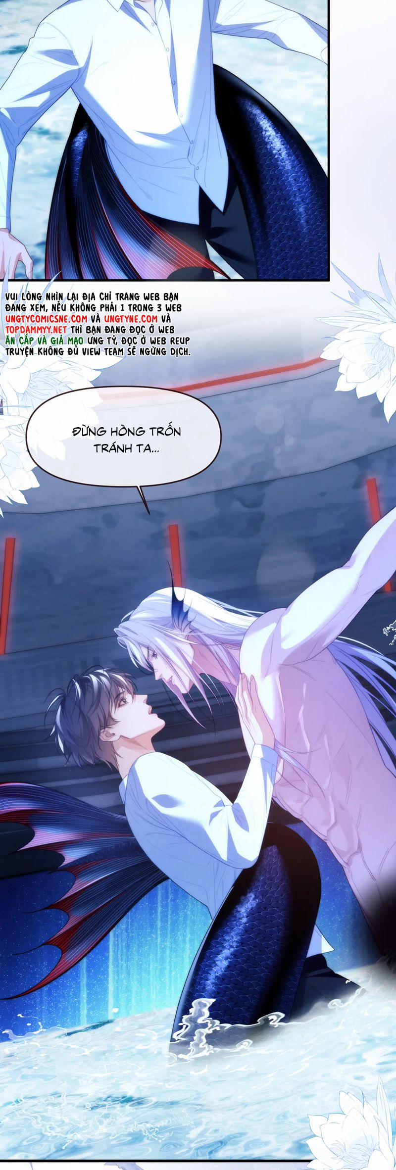 Desharow Nhân Ngư 77 trang 17