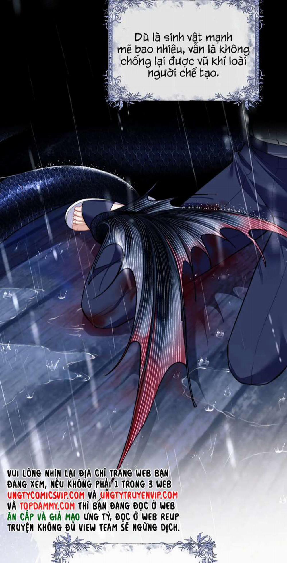 Desharow Nhân Ngư 8 trang 10