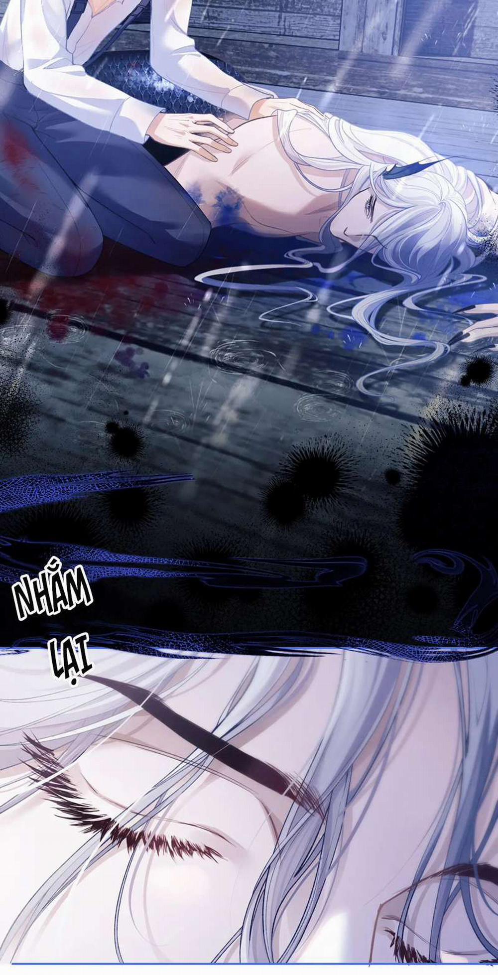 Desharow Nhân Ngư 8 trang 17