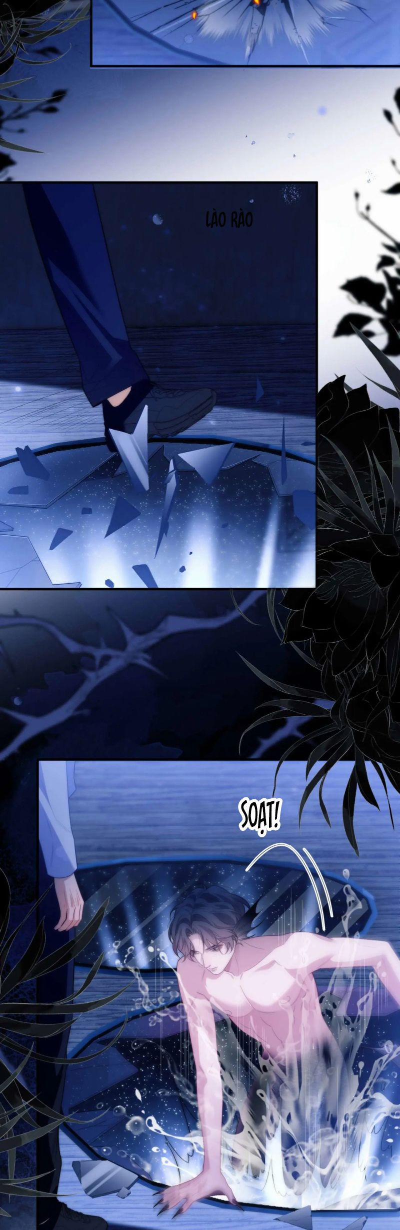 Desharow Nhân Ngư 82 trang 6