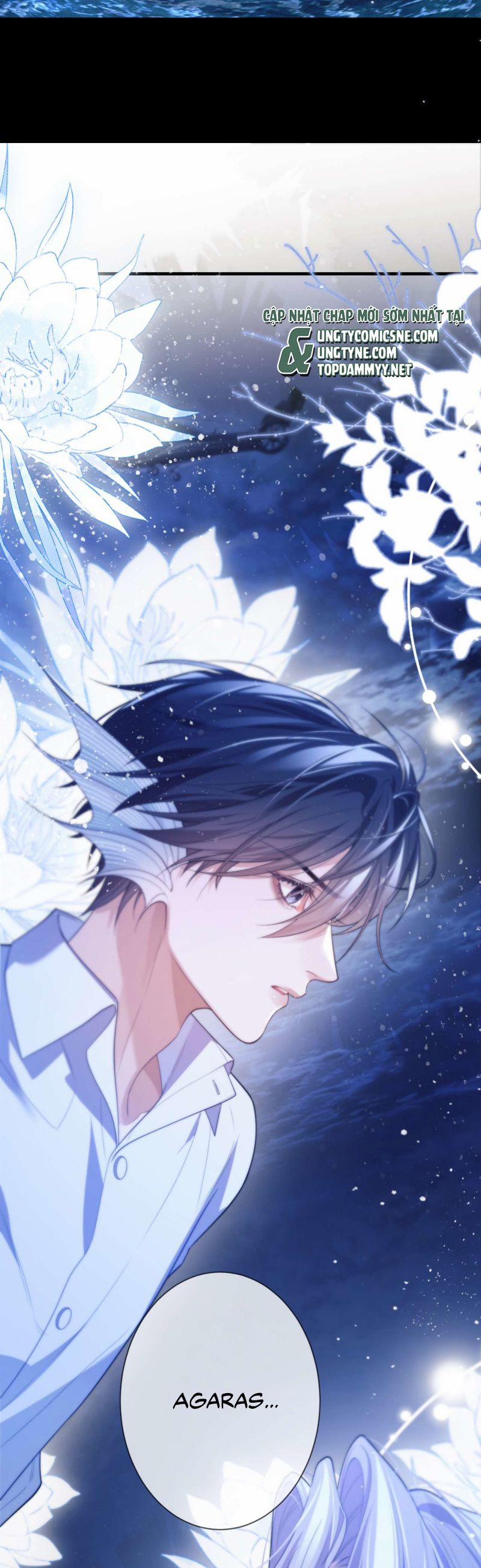 Desharow Nhân Ngư 83 trang 17