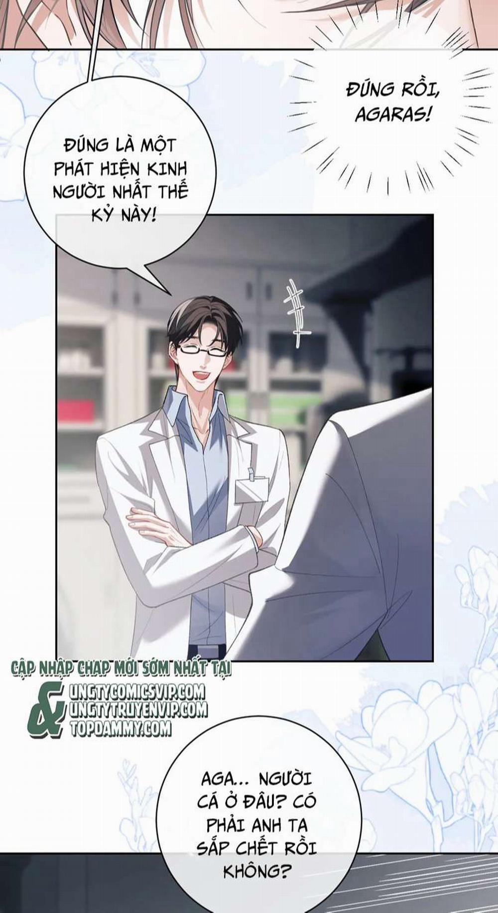 Desharow Nhân Ngư 9 trang 11