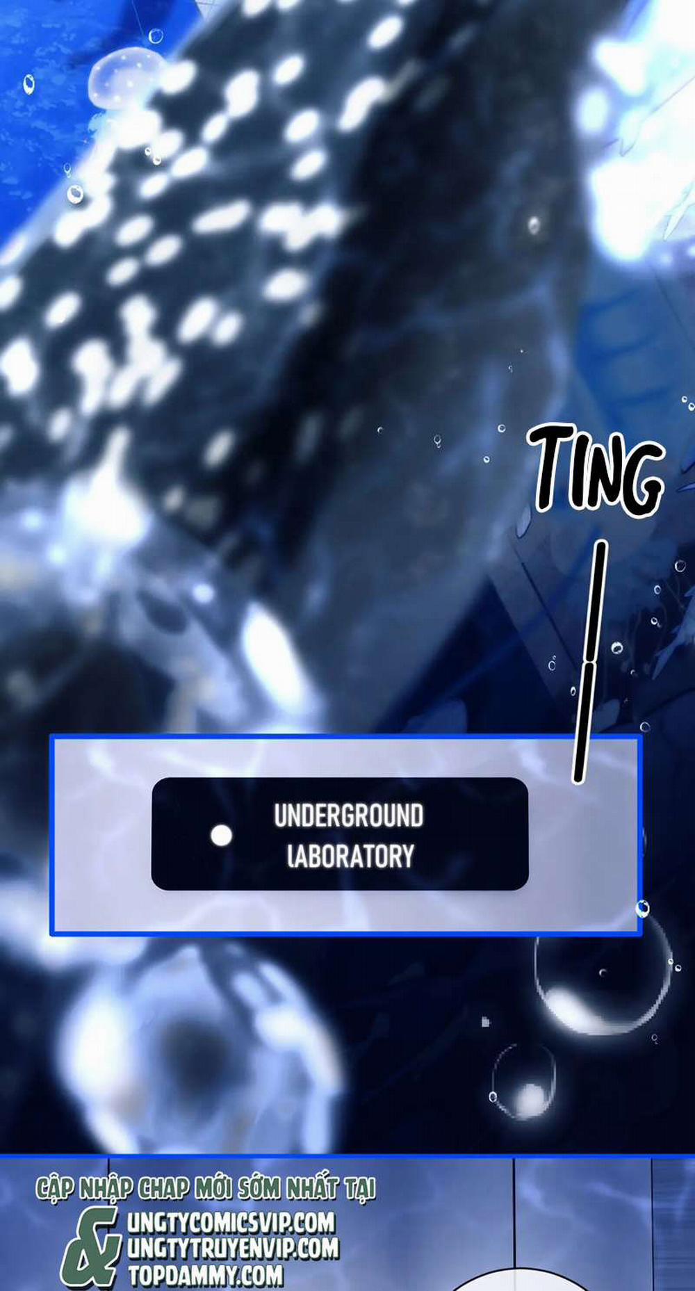 Desharow Nhân Ngư 9 trang 17