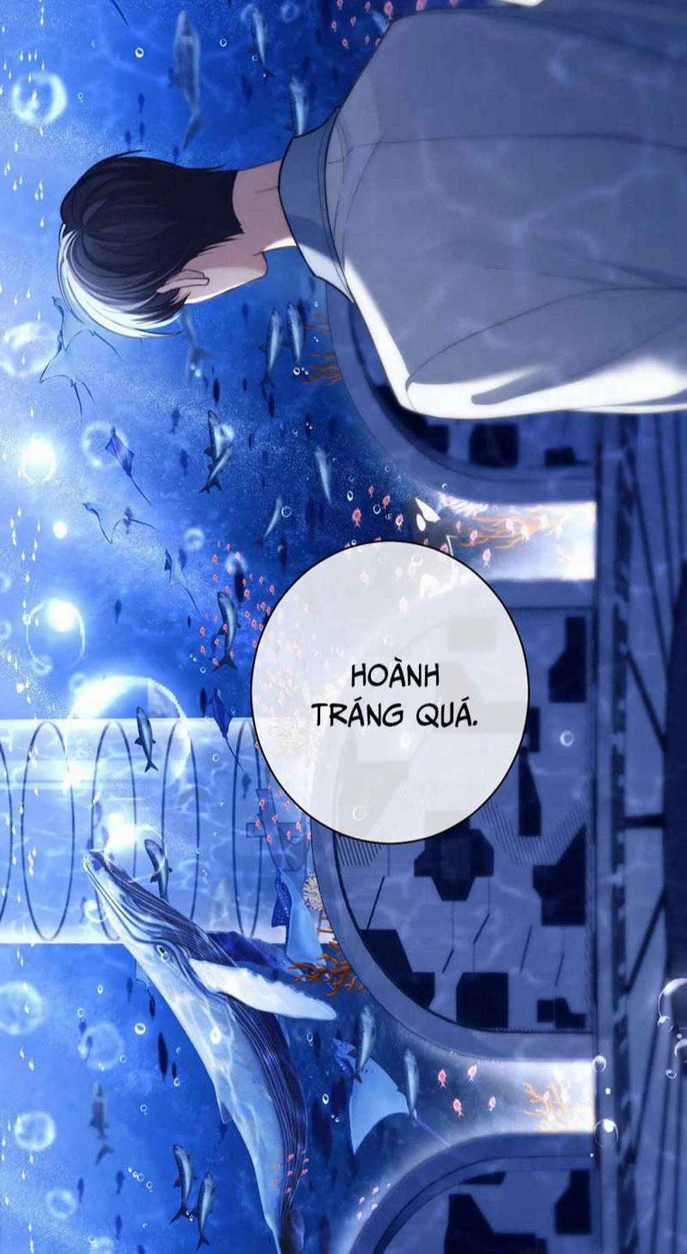 Desharow Nhân Ngư 9 trang 19