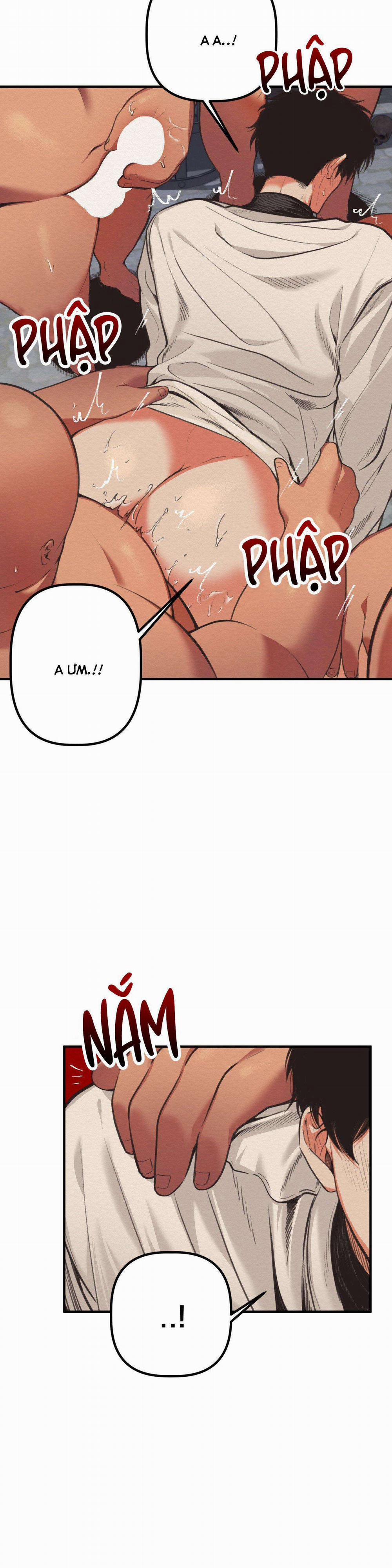 Devil On Top 23 trang 12