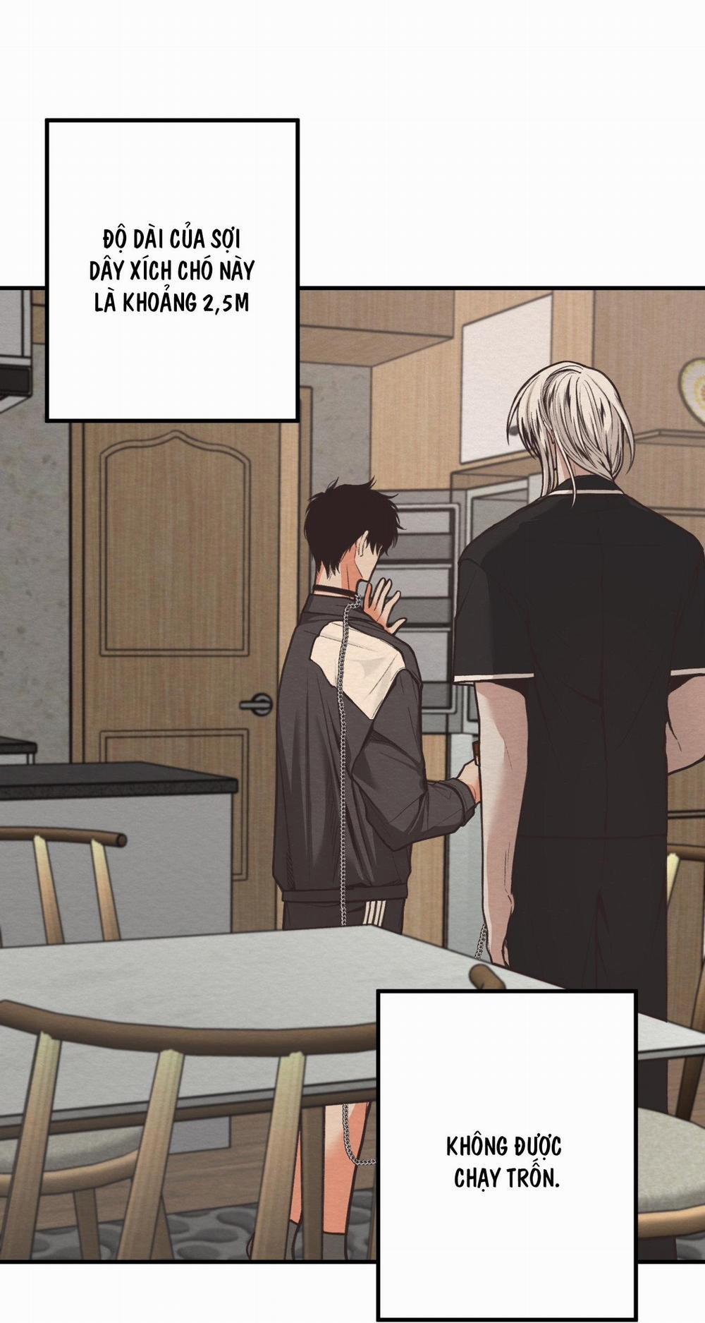 Devil On Top 8 trang 45