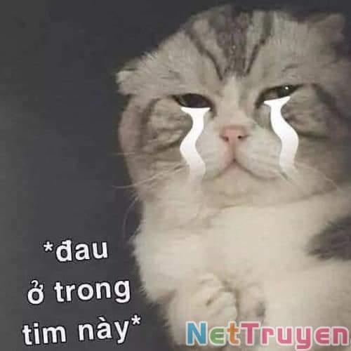 Dị Giới Thất Cách 17 trang 19