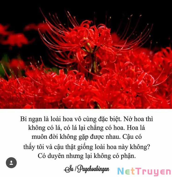 Dị Giới Thất Cách 19 trang 27