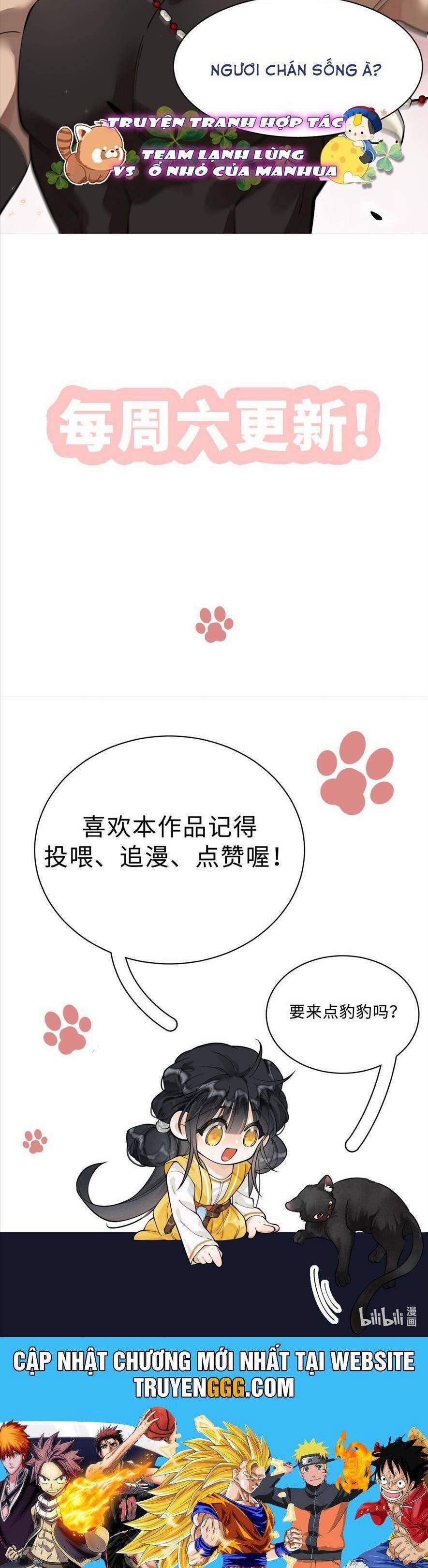 Đi Thi Thôi Nào , Tiểu Hắc Báo 11 trang 16