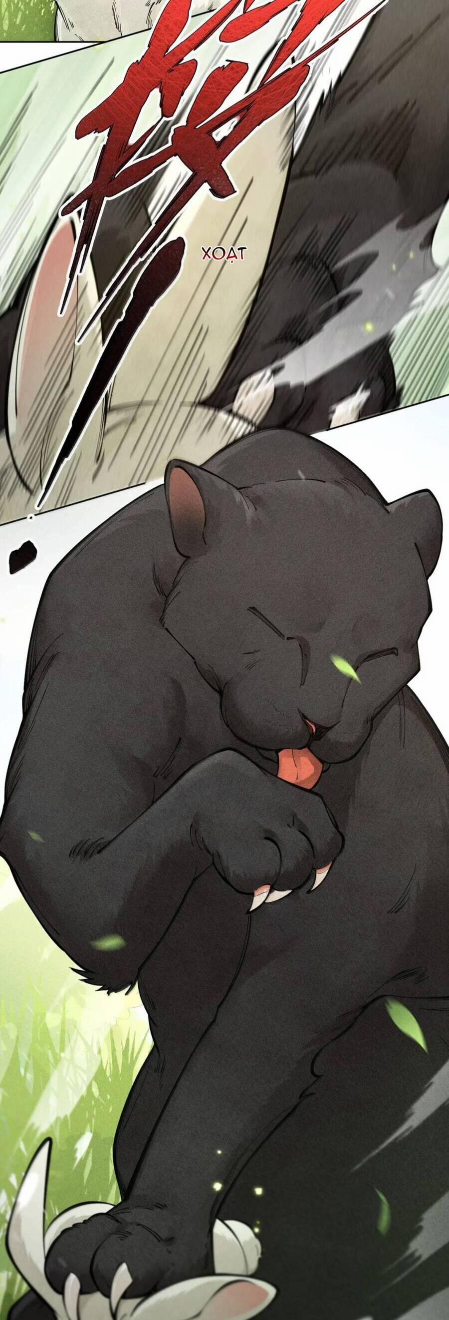 Đi Thi Thôi Nào , Tiểu Hắc Báo 22 trang 9