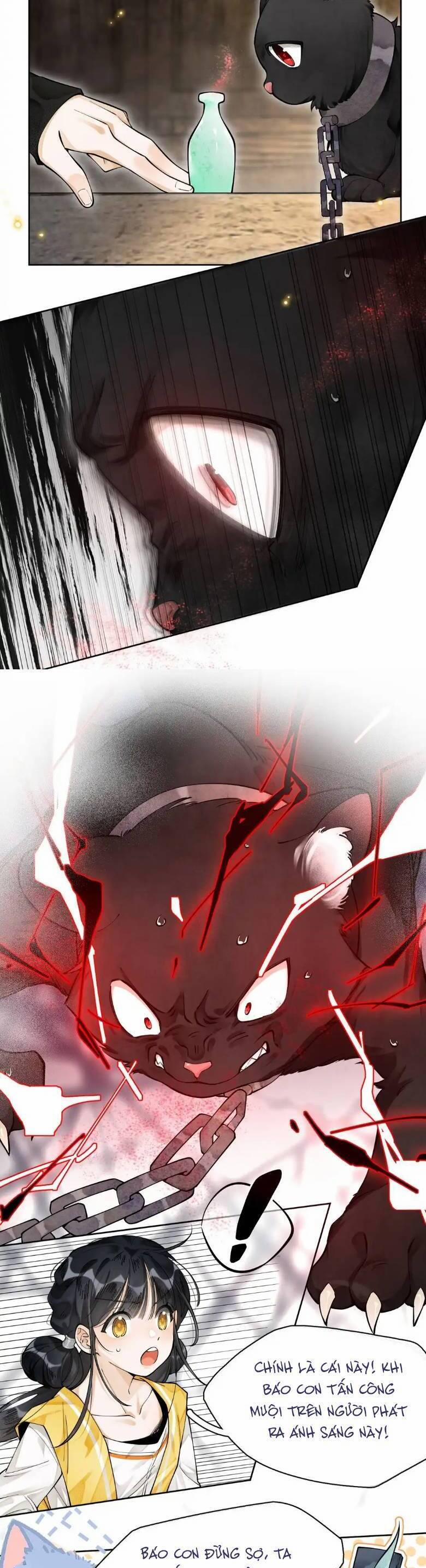 Đi Thi Thôi Nào , Tiểu Hắc Báo 9 trang 3