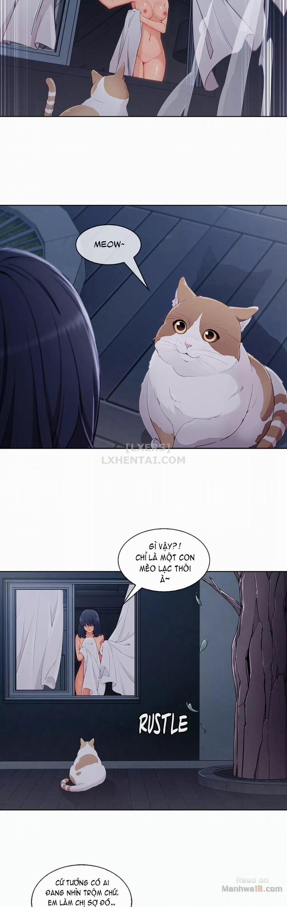 Điên Cuồng Nhưng Ngọt Ngào 51 trang 37