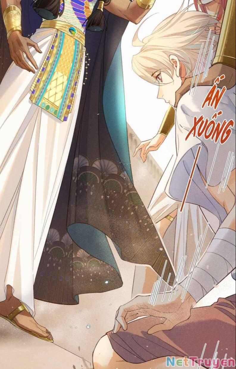 Điện Hạ ! Ta Đang Đến Đây! 11 trang 2