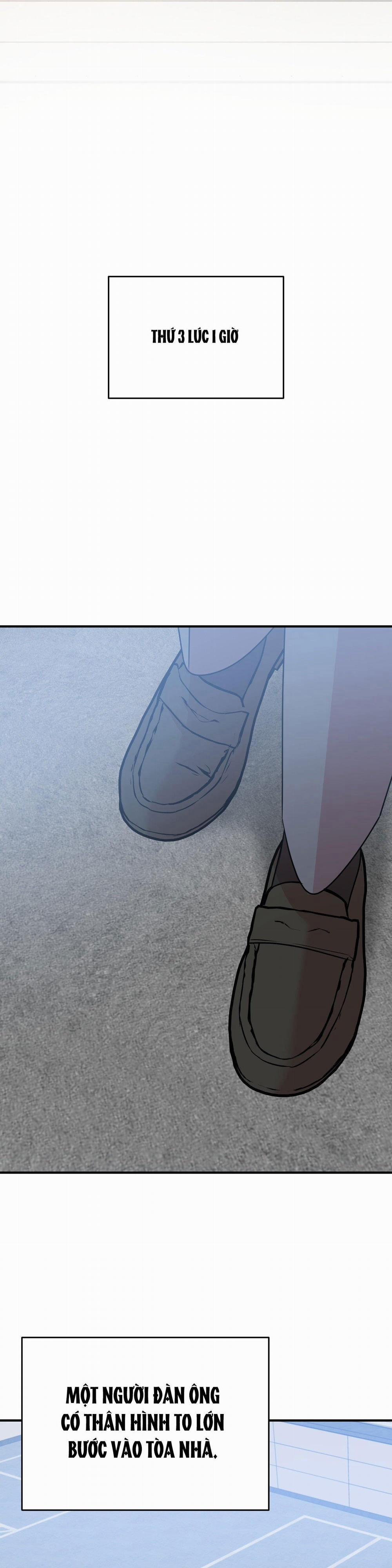 Điều 260 Bộ Luật Hình Sự 1 H+ trang 13