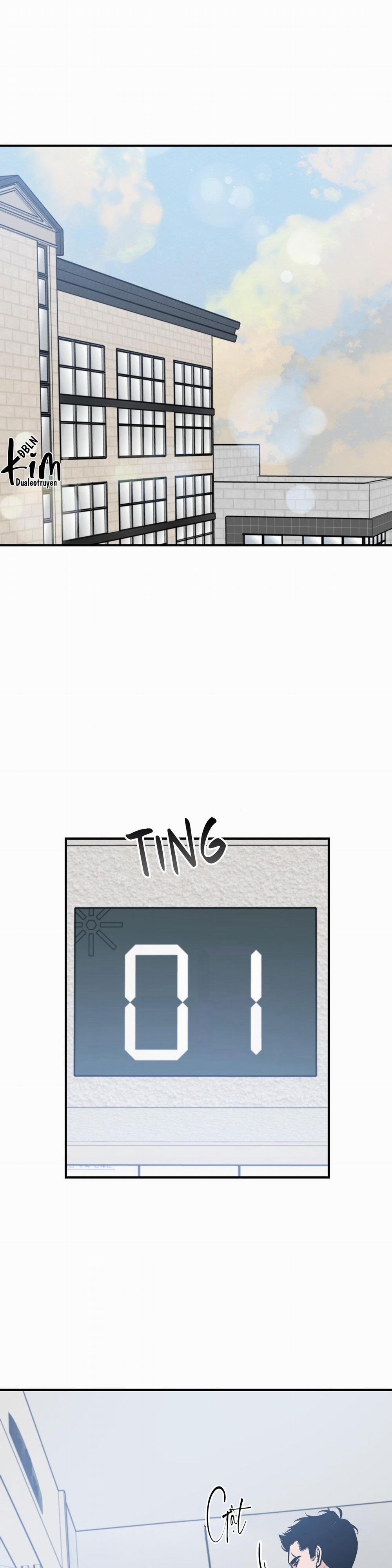 Điều 260 Bộ Luật Hình Sự 1 H+ trang 17