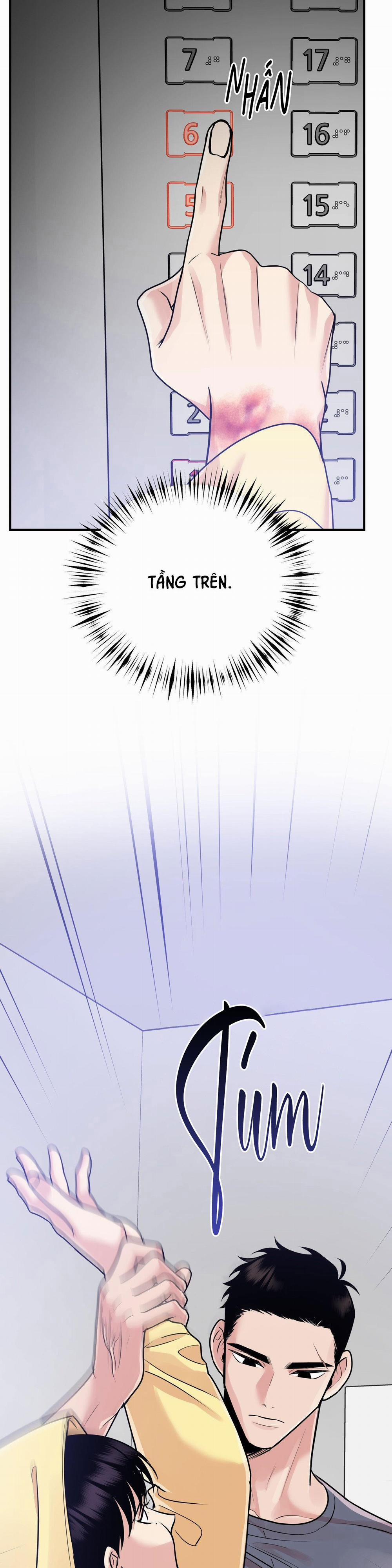 Điều 260 Bộ Luật Hình Sự 1 H+ trang 19